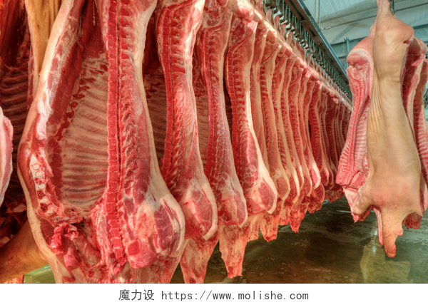 屠宰厂中挂起的新鲜猪肉新鲜的肉，冷切厂